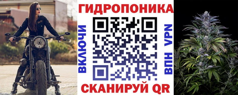 Конопля гибрид  Карасук 